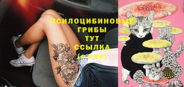первитин Дмитров