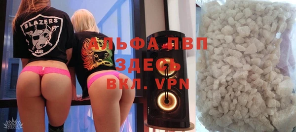 спиды Дмитриев